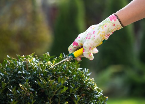 Gardener preparing a clear quote for a small Isle of Dogs courtyard garden