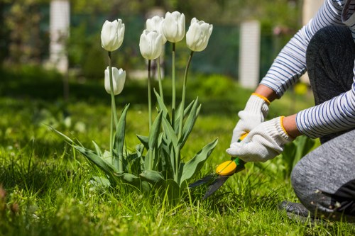 Professional garden maintenance in an Isle of Dogs outdoor space