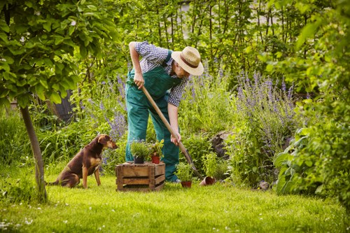 Seasonal pruning and maintenance in Isle of Dogs