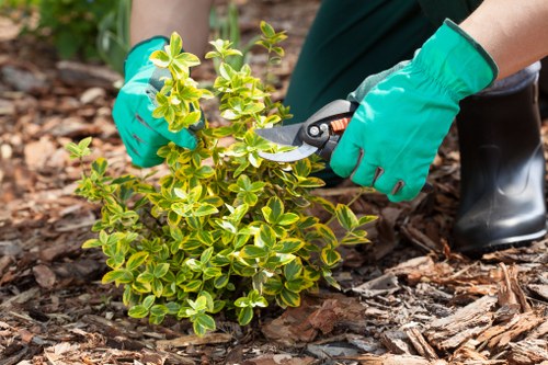Gardening complaints procedure opening section