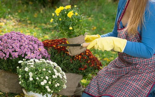 Professional gardeners maintaining a safe and organised outdoor space