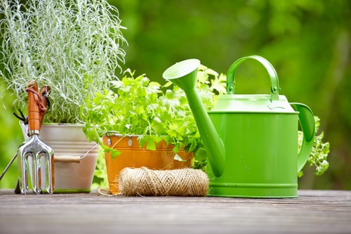 Overseeding and lawn restoration for a patchy Isle of Dogs lawn