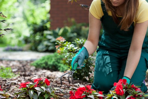 Garden waste sorted for recycling during maintenance on the Isle of Dogs