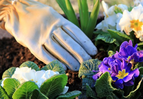 Eco-friendly gardening team working with sorted organic material