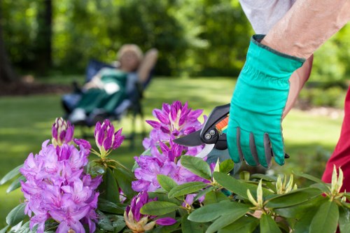 Closing accessibility image for an inclusive Gardeners Isle of Dogs experience