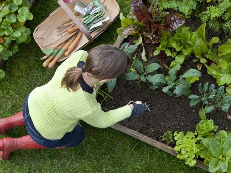 Aeration and soil improvement for lawn care in Isle of Dogs