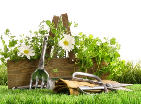 Garden maintenance terms and conditions document