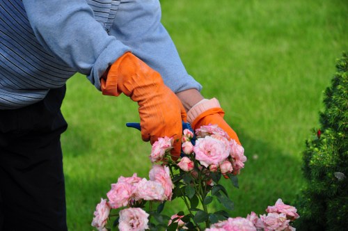 Team reviewing site risks before starting garden work