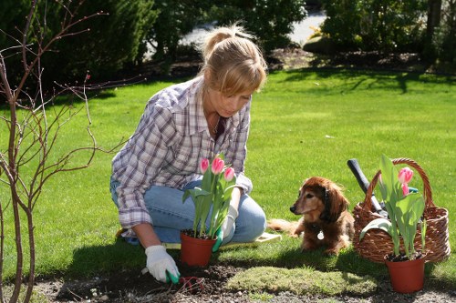Landscaping and lawn care in a modern Isle of Dogs garden