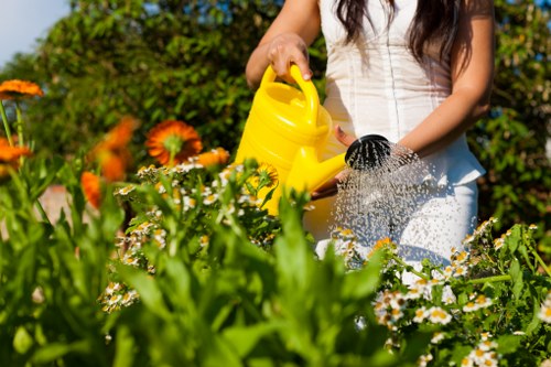 Professional mowing and turf care in a compact Isle of Dogs outdoor space