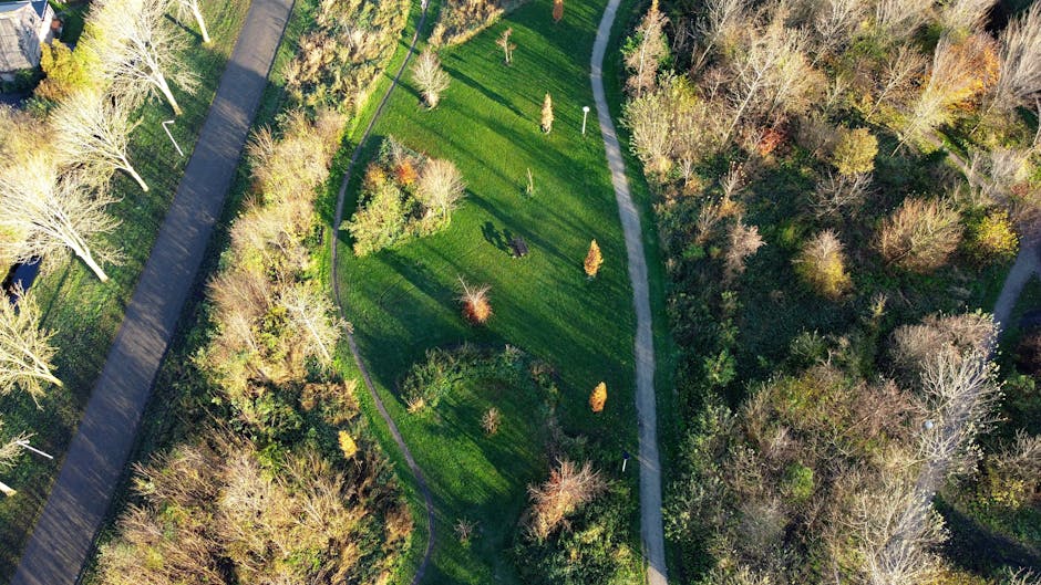 An aerial view of a park with a winding paved pathway running through neatly maintained grassy areas and garden beds, surrounded by a mix of deciduous trees, some with bare branches and others with mu